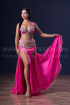 Professional bellydance costume (classic 214a)